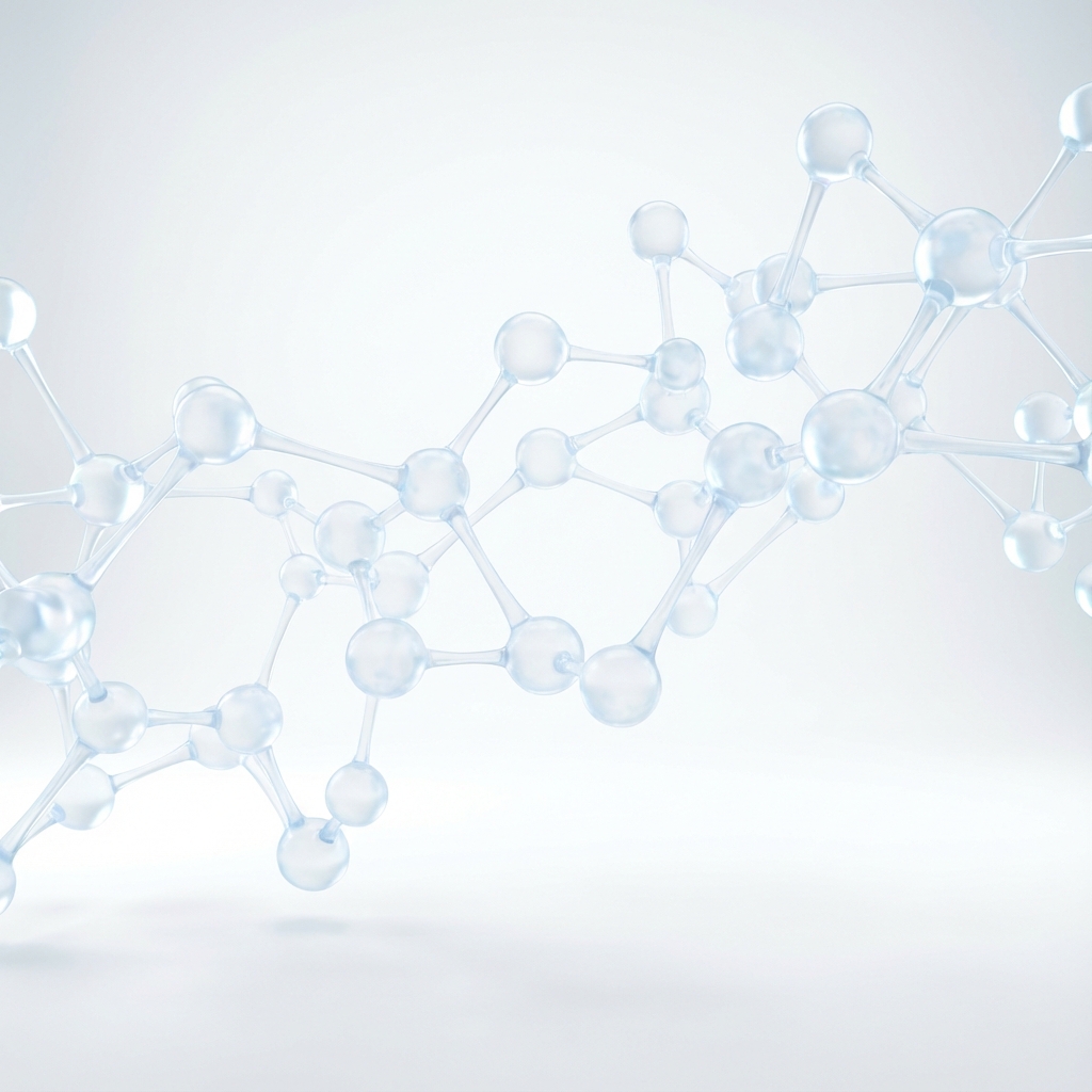 비전 및 핵심가치